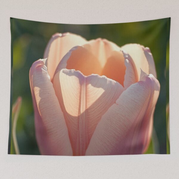 Item preview, Macro Flowers Photography - tulip designed and sold by tipitoes.