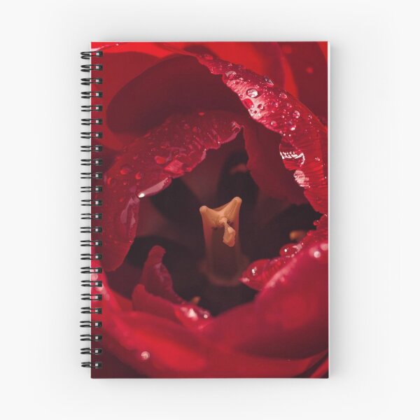 Item preview, Extreme Macro Flower Photography –  Petal Detail designed and sold by tipitoes.