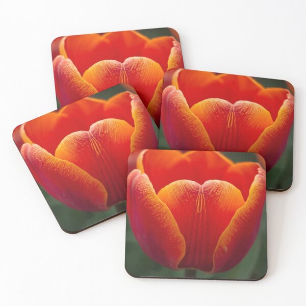 Item preview, Tulip macro Flowers Photography designed and sold by tipitoes.
