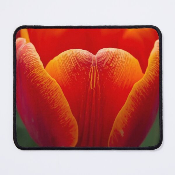 Item preview, Tulip macro Flowers Photography designed and sold by tipitoes.