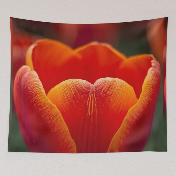 Aperçu de l'œuvre Photographie macro de tulipes créée et vendue par tipitoes.
