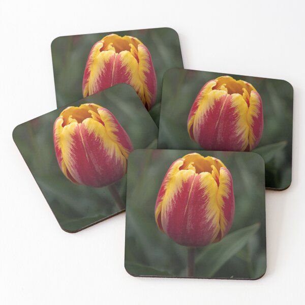 Item preview, Macro Flowers designed and sold by tipitoes.