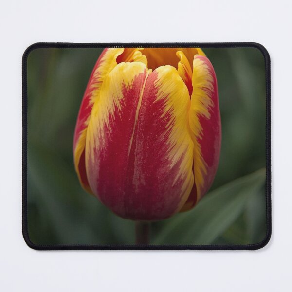Item preview, Macro Flowers designed and sold by tipitoes.