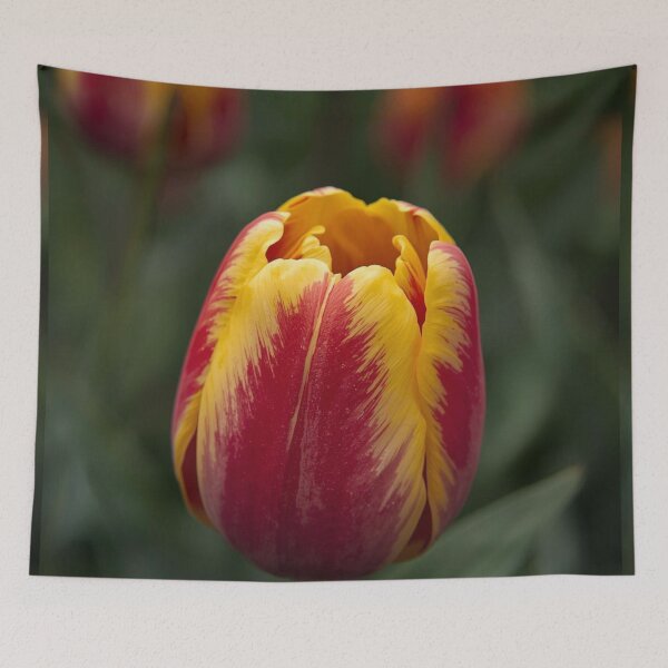 Item preview, Macro Flowers designed and sold by tipitoes.