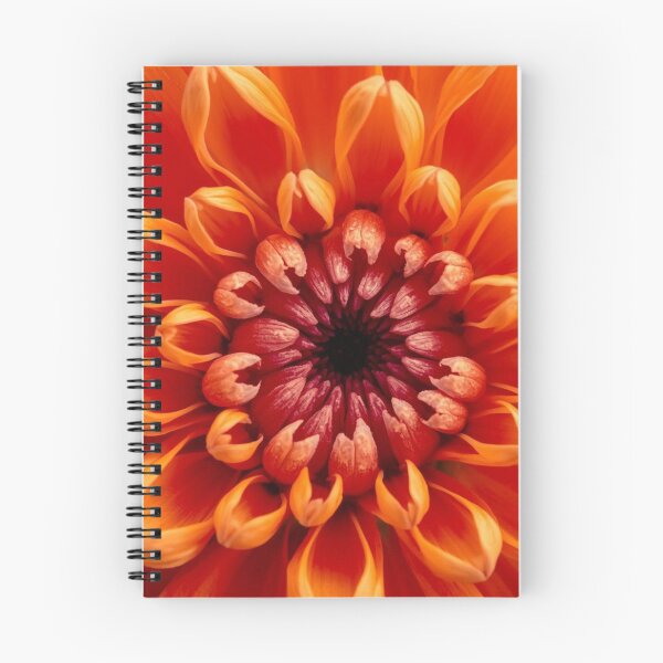 Item preview, Petals macro Flowers Photography designed and sold by tipitoes.