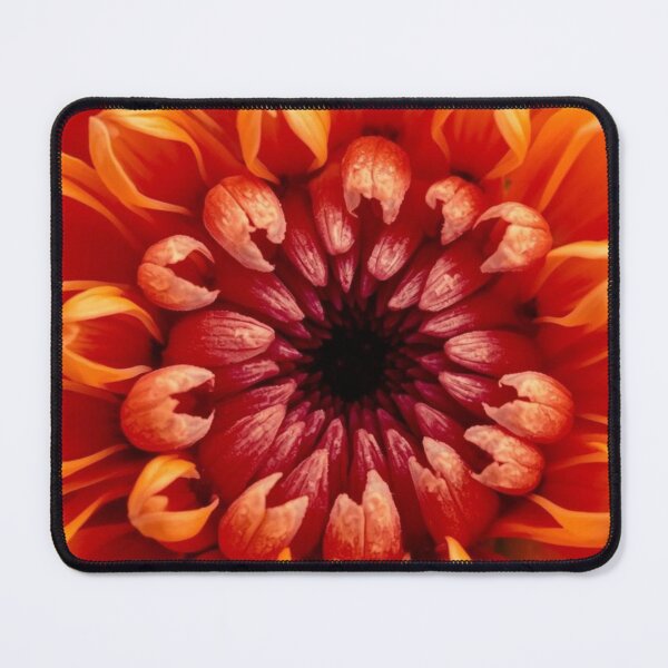 Item preview, Petals macro Flowers Photography designed and sold by tipitoes.