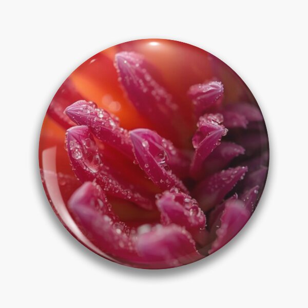 Item preview, Petals macro Flowers Photography red designed and sold by tipitoes.