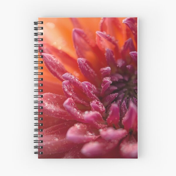 Item preview, Petals macro Flowers Photography red designed and sold by tipitoes.