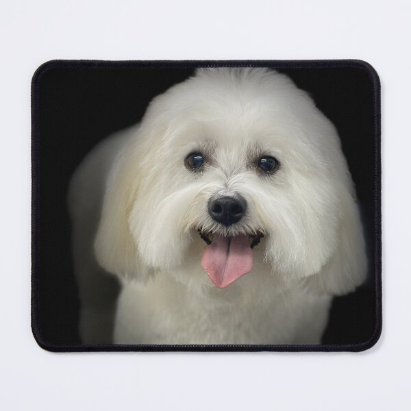 Item preview, Coton de Tulear Portrait designed and sold by DeeplineArt.