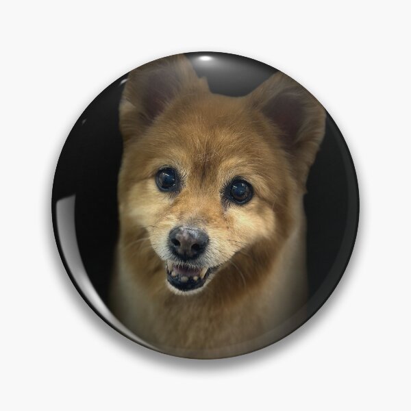 Item preview, Finnish Spitz Portrait  designed and sold by DeeplineArt.