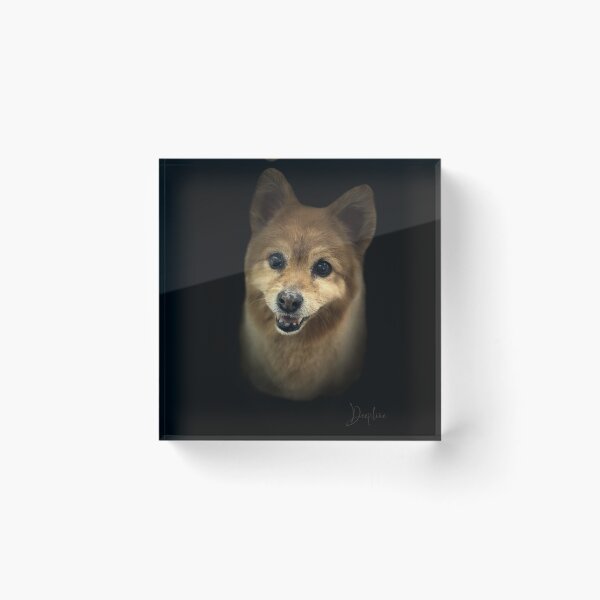 Item preview, Finnish Spitz Portrait  designed and sold by DeeplineArt.