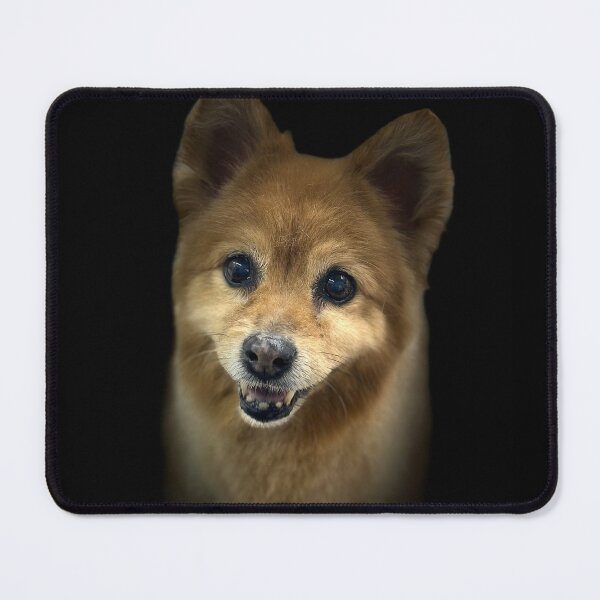 Item preview, Finnish Spitz Portrait designed and sold by DeeplineArt.