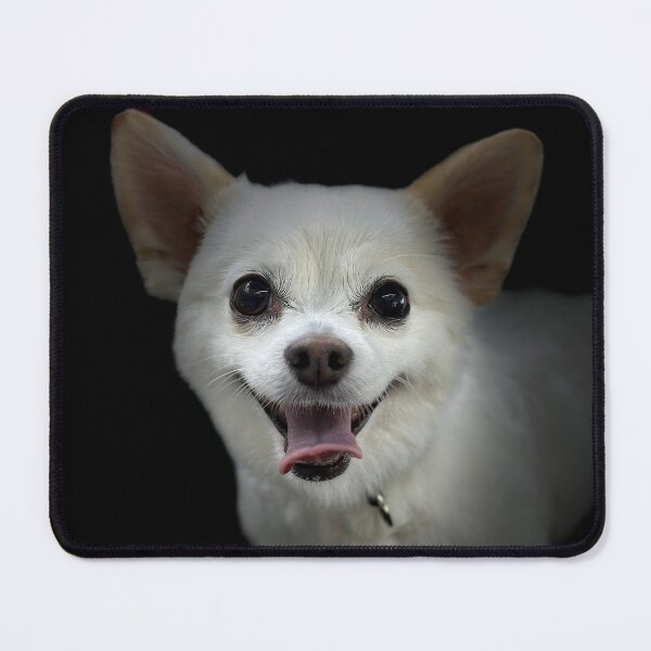 Item preview, White Chihuahua Portrait designed and sold by DeeplineArt.