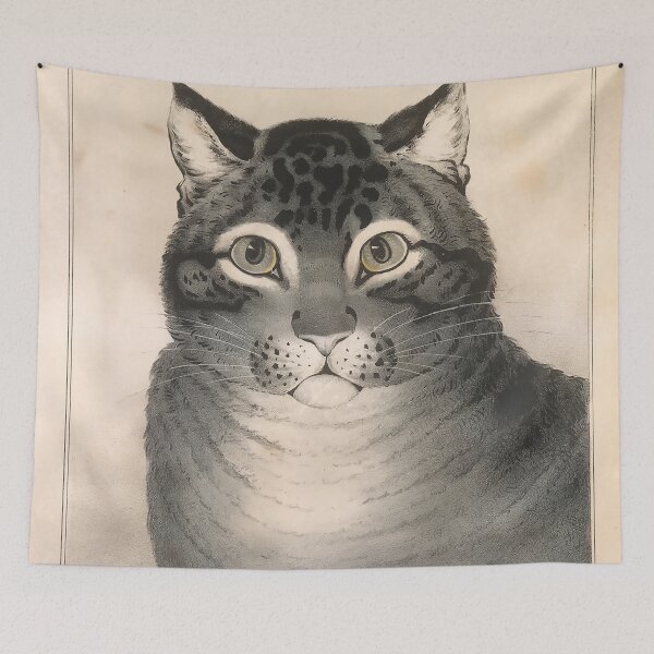 Item preview, The Favorite Cat (American 1938-48) designed and sold by dgelpicmdRB.