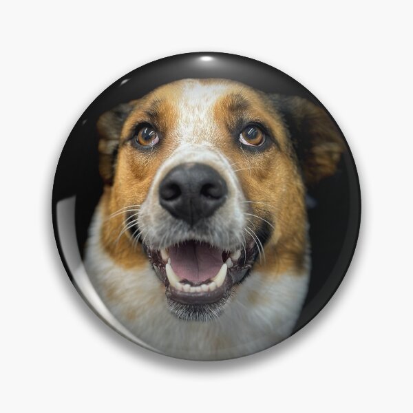 Item preview, Australian Cattle Dog Portrait  designed and sold by DeeplineArt.