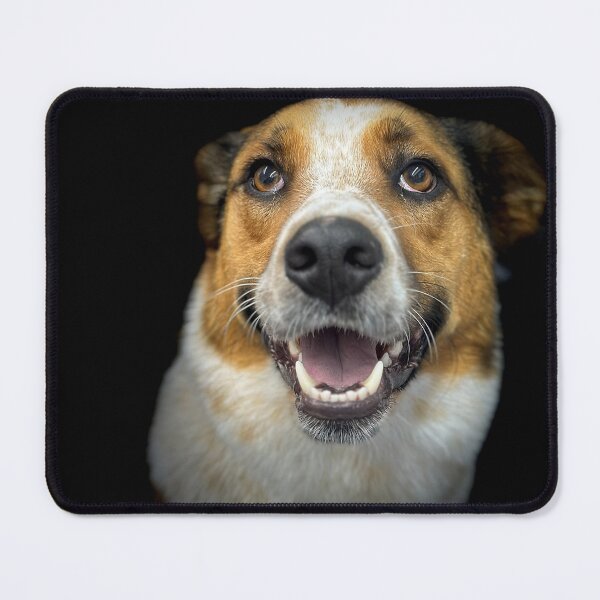 Item preview, Australian Cattle Dog Portrait designed and sold by DeeplineArt.