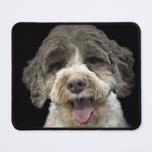 Item preview, Cockapoo Portrait  designed and sold by DeeplineArt.