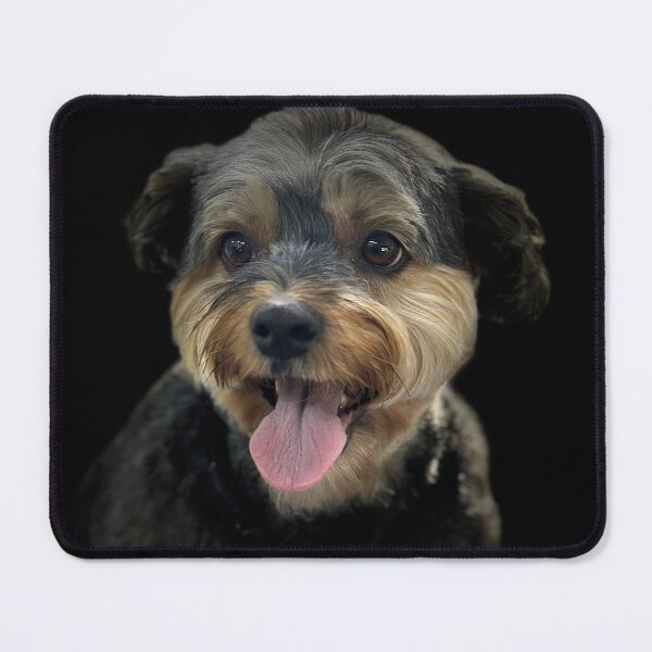 Item preview, Yorkiepoo Portrait designed and sold by DeeplineArt.