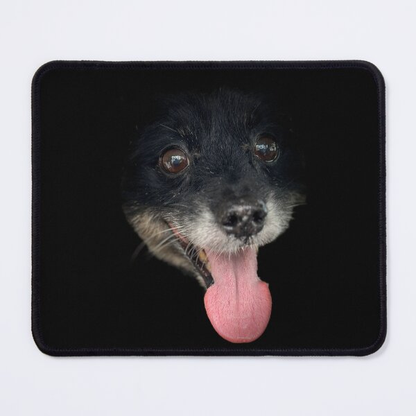 Item preview, Pomchi Portrait designed and sold by DeeplineArt.