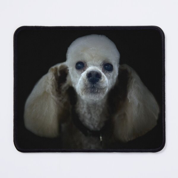 Item preview, Miniature Cream Poodle Portrait designed and sold by DeeplineArt.