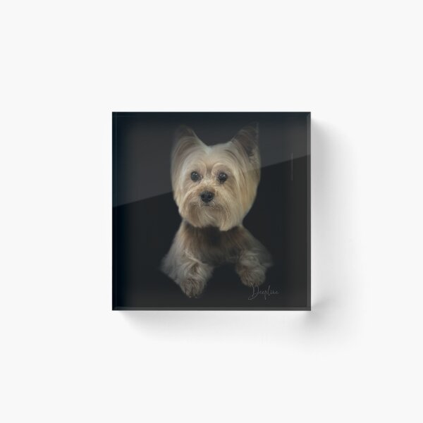 Item preview, Yorkshire Terrier Portrait designed and sold by DeeplineArt.