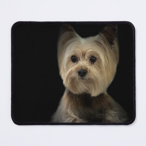 Item preview, Yorkshire Terrier Portrait designed and sold by DeeplineArt.