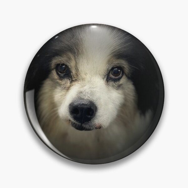 Item preview, Pomsky Portrait  designed and sold by DeeplineArt.