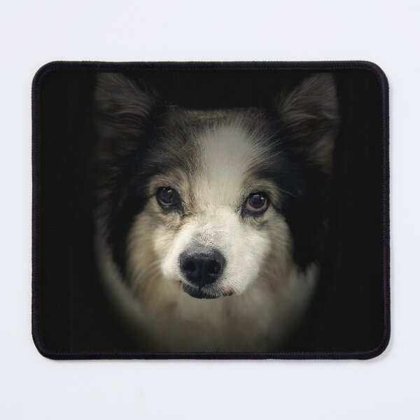 Item preview, Pomsky Portrait  designed and sold by DeeplineArt.