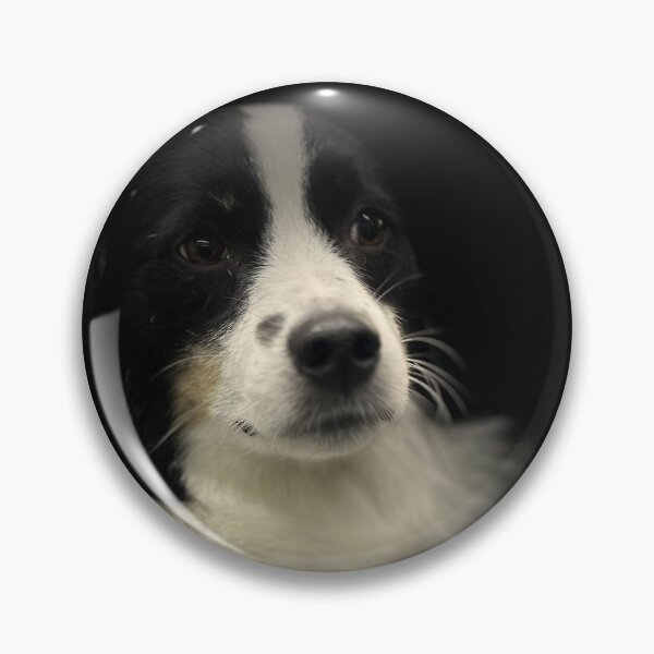 Item preview, Border Collie Portrait  designed and sold by DeeplineArt.