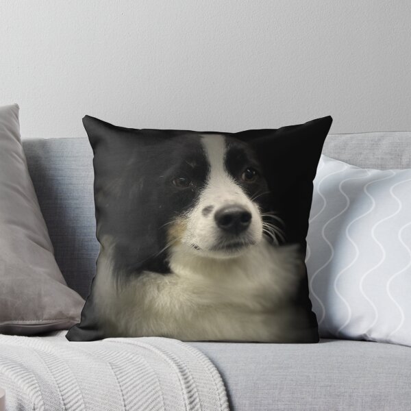Item preview, Border Collie Portrait  designed and sold by DeeplineArt.