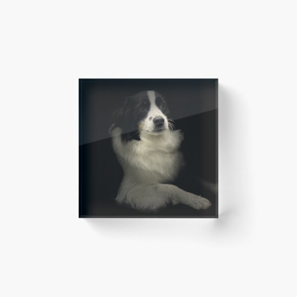 Item preview, Border Collie Portrait  designed and sold by DeeplineArt.