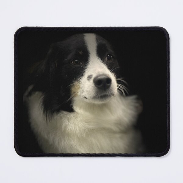 Item preview, Border Collie Portrait designed and sold by DeeplineArt.