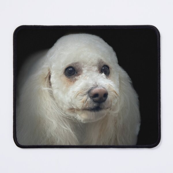 Item preview, Poodle Bichon Mix Portrait -  designed and sold by DeeplineArt.