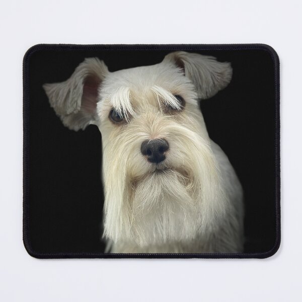 Item preview, White Schnauzer Portrait designed and sold by DeeplineArt.