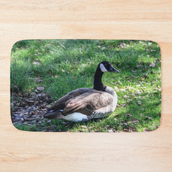 Item preview, Posing For the Camera designed and sold by heatherfriedman.