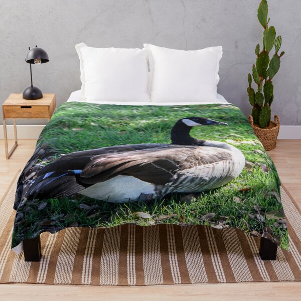 Item preview, Posing For the Camera designed and sold by heatherfriedman.