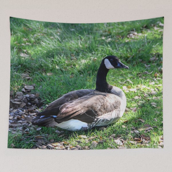 Item preview, Posing For the Camera designed and sold by heatherfriedman.