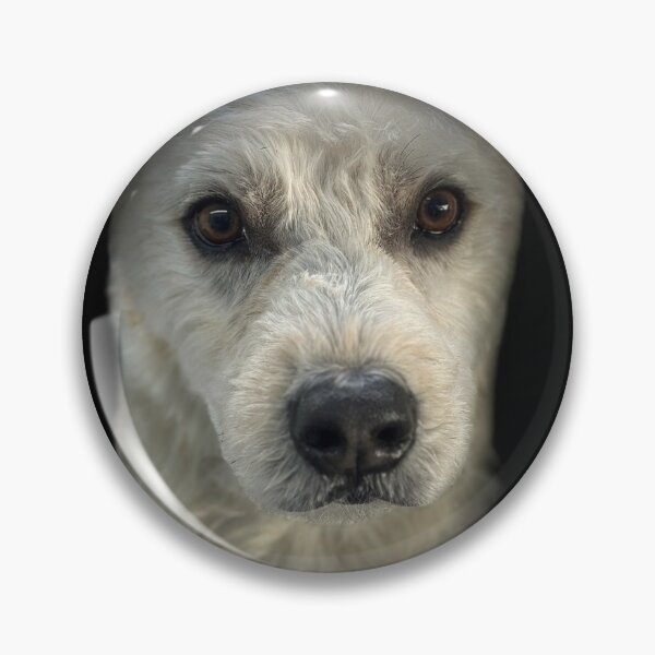 Item preview, Soft Coated Wheaten Terrier Portrait  designed and sold by DeeplineArt.