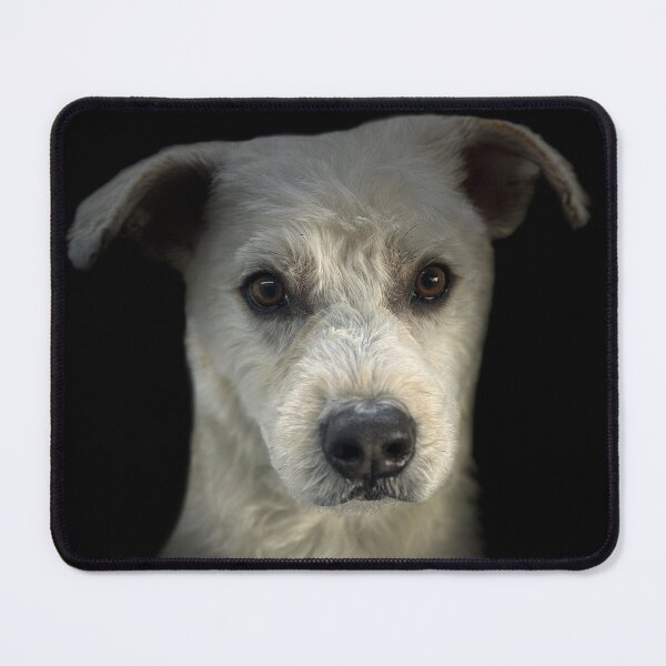 Item preview, Soft Coated Wheaten Terrier Portrait  designed and sold by DeeplineArt.