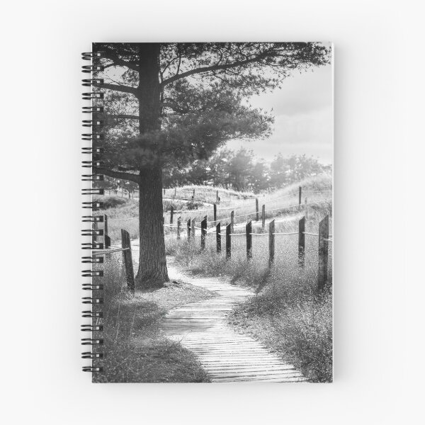 Item preview, Kohler Andrae State Park tree and boardwalk in black and white designed and sold by TerraMediaLLC.