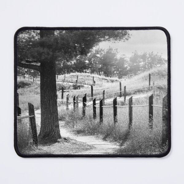 Item preview, Kohler Andrae State Park tree and boardwalk in black and white designed and sold by TerraMediaLLC.