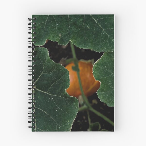Item preview, Vibrant Colors Renew Spirit designed and sold by Silvalate.