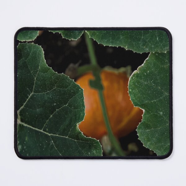 Item preview, Vibrant Colors Renew Spirit designed and sold by Silvalate.
