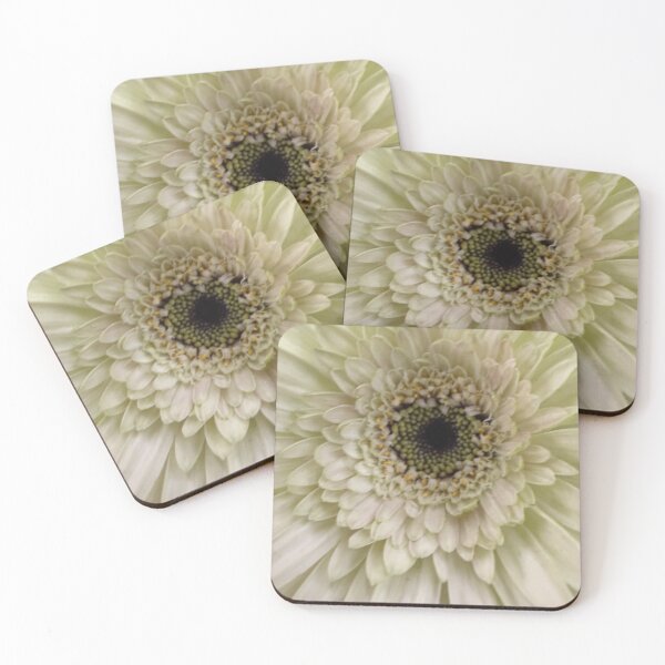 Item preview, White Gerbera designed and sold by Betsy Phillips.