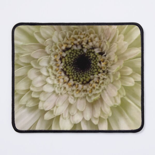 Item preview, White Gerbera designed and sold by Betsy Phillips.