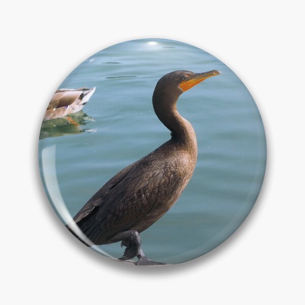 Item preview, Double-crested Cormorant and a Mallard Duck designed and sold by BackyardBirder.