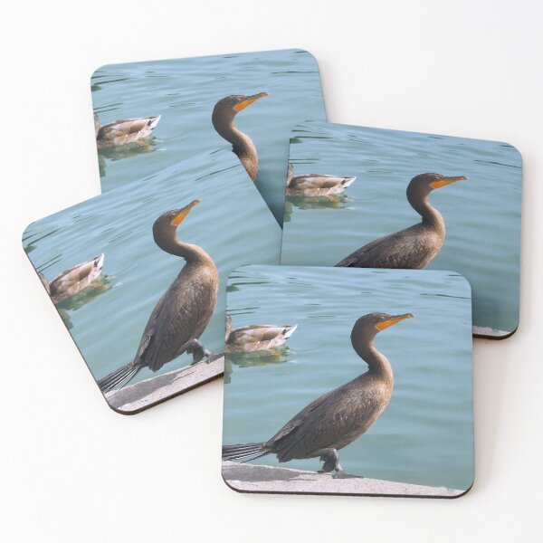 Item preview, Double-crested Cormorant and a Mallard Duck designed and sold by BackyardBirder.