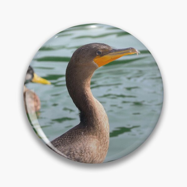 Item preview, A Double-crested Cormorant Standing Tall designed and sold by BackyardBirder.