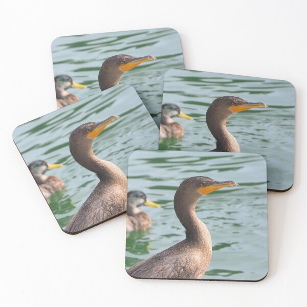 Item preview, A Double-crested Cormorant Standing Tall designed and sold by BackyardBirder.