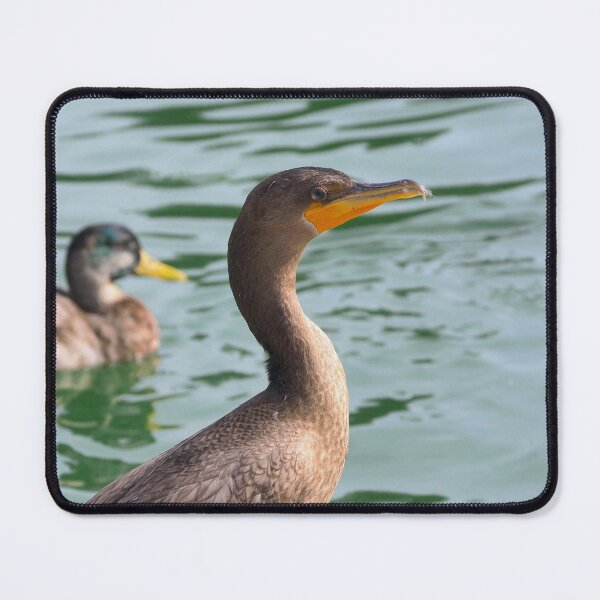 Item preview, A Double-crested Cormorant Standing Tall designed and sold by BackyardBirder.